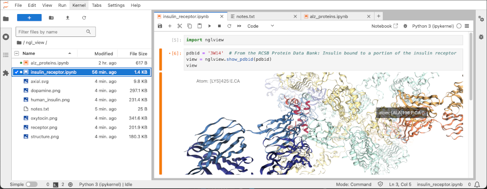 JupyterLab 笔记本编辑器，其中打开的笔记本显示胰岛素受体的交互式视图